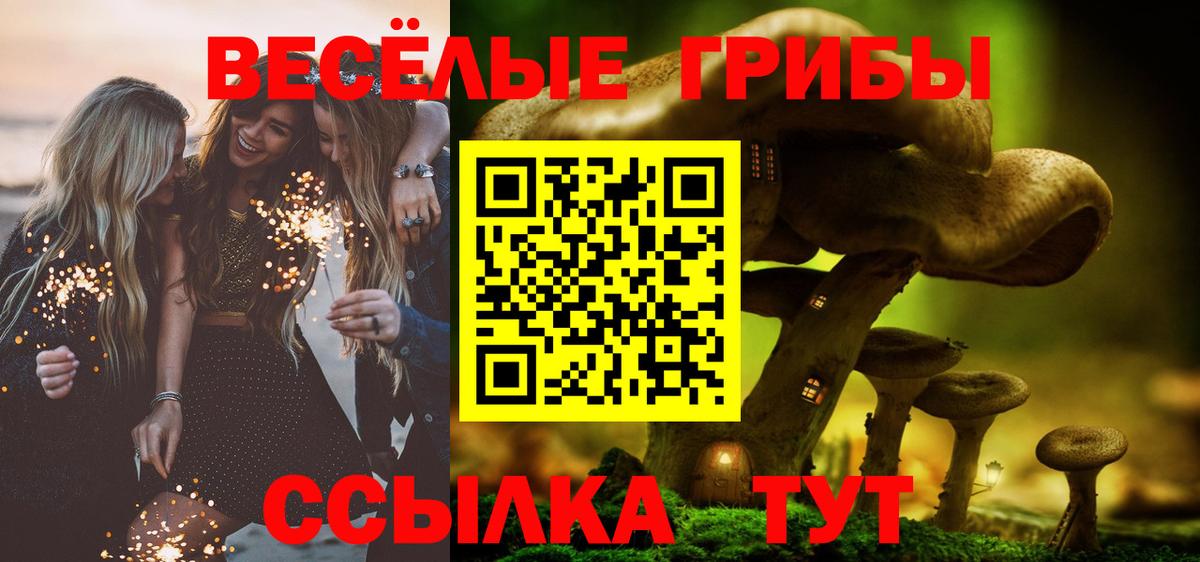Псилоцибиновые грибы Psilocybe  Вход с VPN  Тверь  Псилоцибиновые грибы мухоморы 