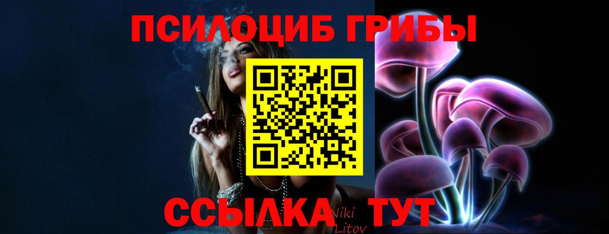 Псилоцибиновые грибы прущие грибы Тверь